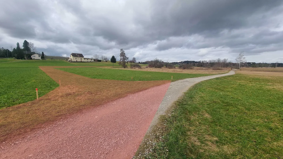 Künftig wird der Weg in die linke Richtung führen, wo die Markierungen bereits gesteckt sind. So wird das Moor umgangen. An diesen Stellen sollen die neuen Feld- und Velowege durch das Erholungsgebiet führen.
